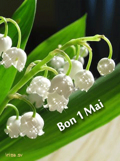Gif animé bon 1 mai muguet